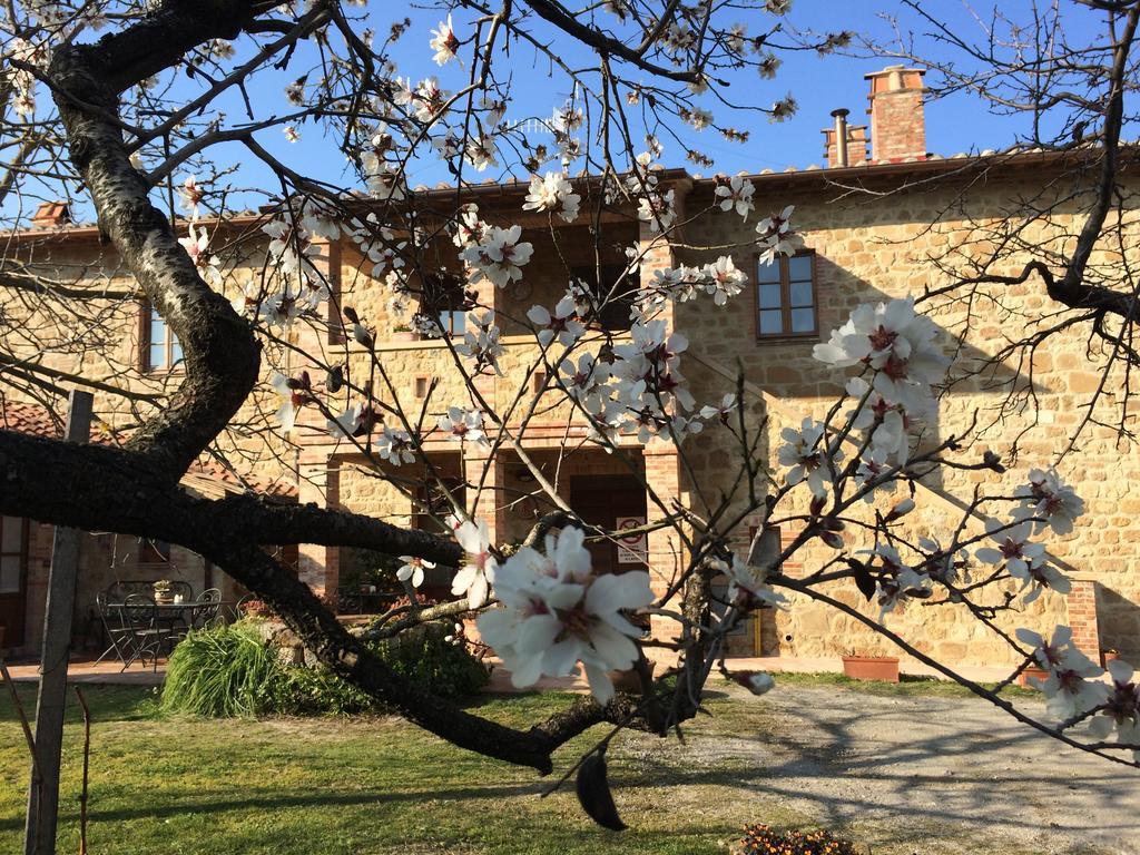 Agriturismo Podere San Gregorio Pienza Exterior foto